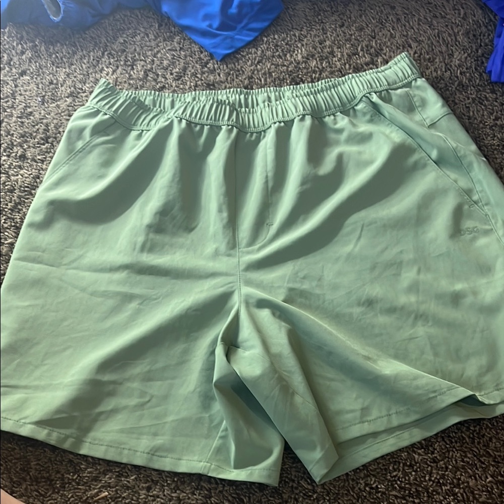 DSG Light Green Performance Shorts